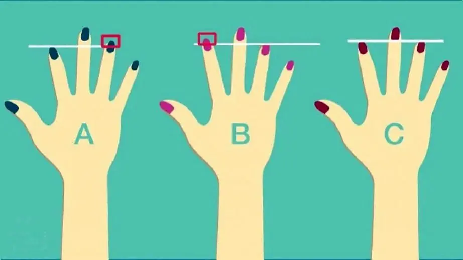 شخصیت شناسی از روی انگشتان دست | طول انگشت شما چه رازهایی را بر ملا میکند؟
