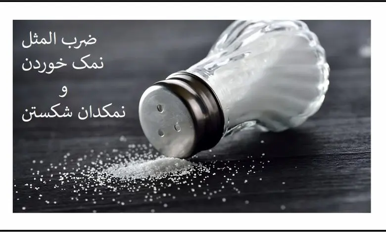 حکایت ضرب المثل نمک خوردن و نمکدان شکستن!!! | داستان ضرب المثل ها 