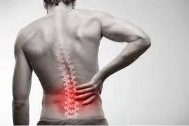 راهکار عالی برای کمر درد | مصرف این گیاه جایگزین عمل دیسک کمر است 