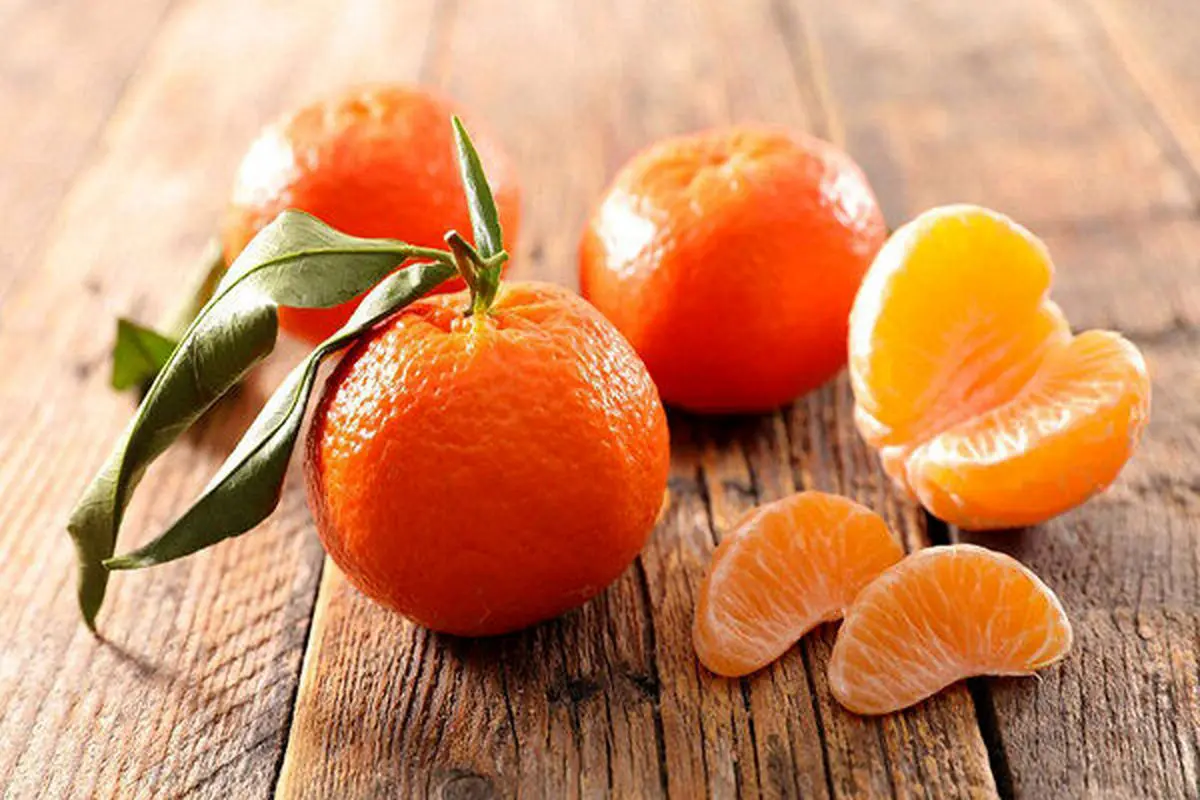 با خوردن این میوه دیگه مریض نمیشی | خواص بی نظیر خوردن نارنگی