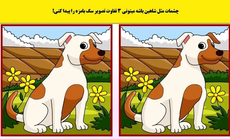 تست هوش | فقط باهوش ها زیر 7 ثانیه اختلاف تصاویر و پیدا میکنند