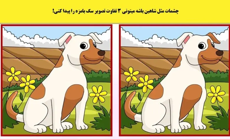 تست هوش | فقط باهوش ها زیر 7 ثانیه اختلاف تصاویر و پیدا میکنند