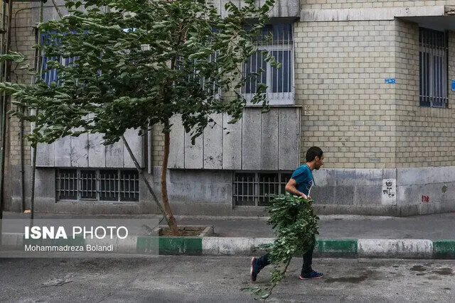 هشدار جدی هواشناسی برای تهرانی‌ها در چند ساعت آینده | وزش باد خیلی شدید در این مناطق