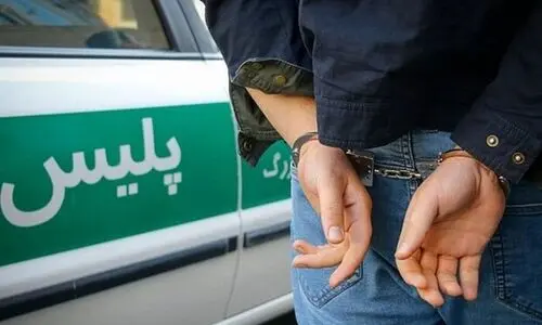 سرقت هولناک از زنان خانه‌دار در پوشش پستچی !
