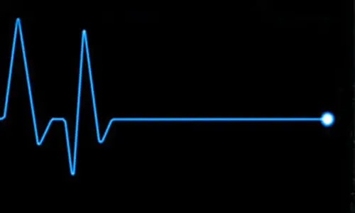 کارگردان سینما در ۸۵ سالگی درگذشت