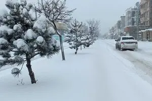 بارش اولین برف پاییزی در تهران