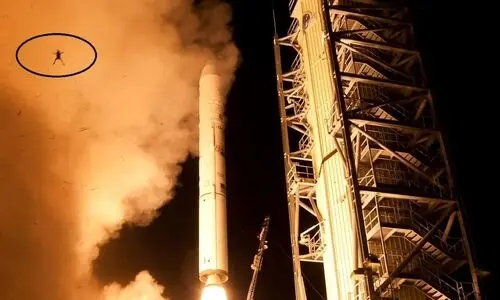 عکس فراموش‌نشدنی جهانی که ترند شد | تصویر خاص ناسا: بدشانس‌ترین قورباغه جهان که همراه موشک پرتاب شد