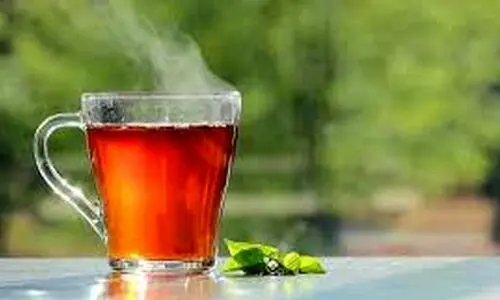این نوشیدنی قاتل آهن بدن شماست | آهن از دست رفته را چگونه بازیابی کنیم 