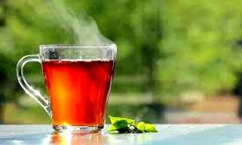 روش درست و بهتر برای دم کردن چای | با این روش طعم کهنه ‌سوختگی نمیده