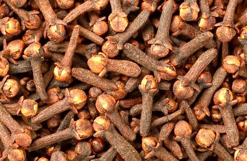 فواید جویدن روزانه میخک با معده خالی | از فواید کاهش وزن میخک غافل نشوید