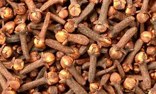 فواید جویدن روزانه میخک با معده خالی | از فواید کاهش وزن میخک غافل نشوید