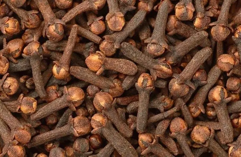 فواید جویدن روزانه میخک با معده خالی | از فواید کاهش وزن میخک غافل نشوید