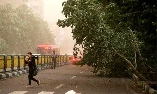تهرانی ها خودشان را برای گرد و خاک آماده کنند | هوا از پنجشنبه گرمتر می شود