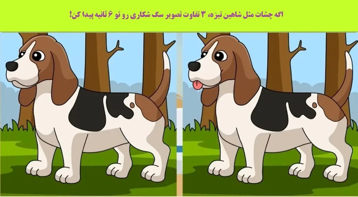 تست هوش | تفاوت های تصویر را زیر 6 ثانیه پیدا کنید