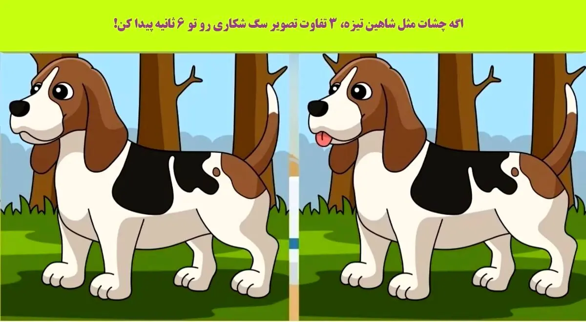 تست هوش | تفاوت های تصویر را زیر 6 ثانیه پیدا کنید