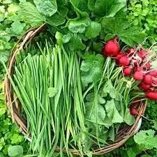 با این روش سبزی را تا یکماه تازه نگه دار + ویدئو