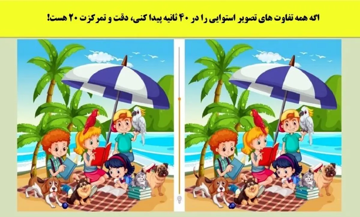 تست هوش | اگه فکر میکنی خیلی ریزبینی 20 تفاوت تصویر را پیدا کنید
