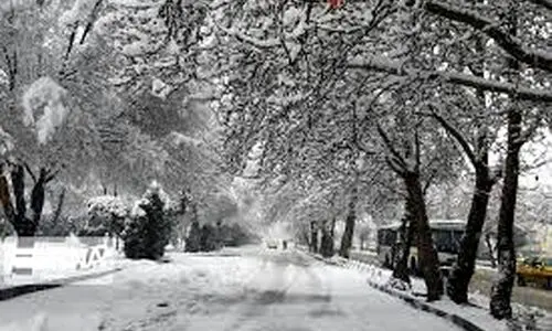 هشدار وحشتناک به نهرانی ها | یخبندان به یک قدمی پایتخت رسید