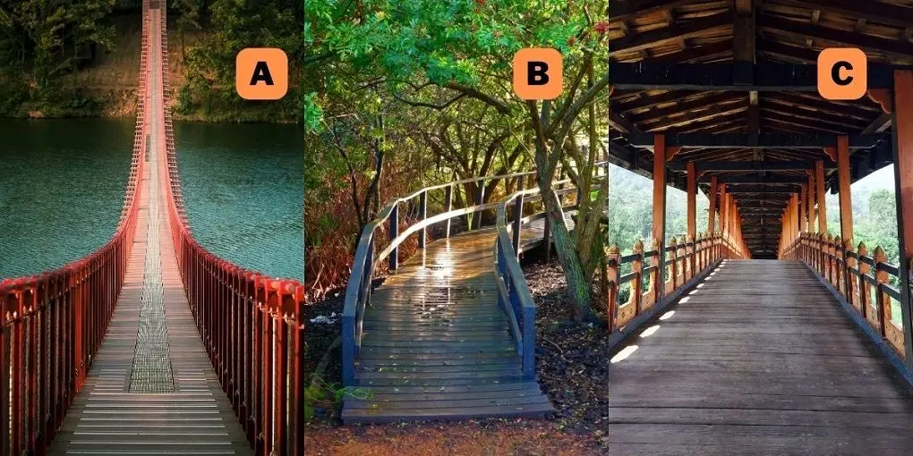 تست شخصیت شناسی تصویری با جواب | یکی از این پل ها رو برای عبور انتخاب کن تا بگم ذاتت چیه !!