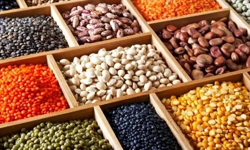 قیمت جدید و رسمی حبوبات اعلام شد | لوبیا چیتی را از این قیمت ها بالاتر نخرید + جدول