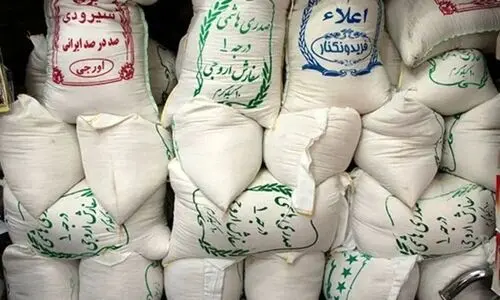 کاهش قیمت برنج در بازار |‌ ورود محصولات جدید به بازار
