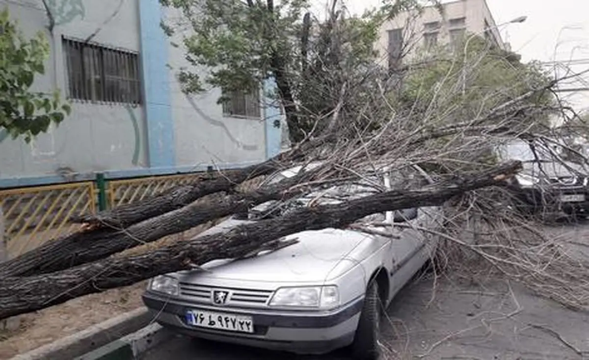 تندباد لحظه‌ای در اصفهان حادثه ساز شد | سقوط ۵۴ درخت و خسارت به ۱۶ خودرو