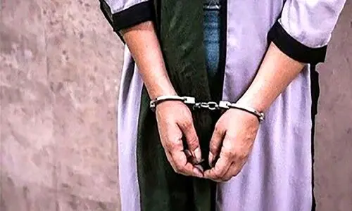 بازداشت عمه‌ برای انتشار تصاویر خصوصی برادرزاده