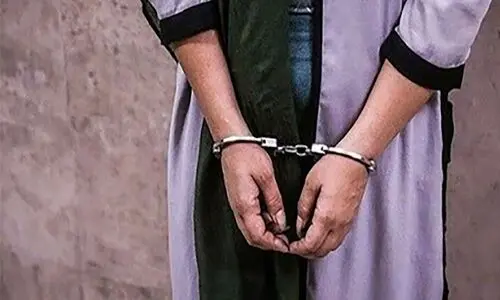 بازداشت عمه‌ برای انتشار تصاویر خصوصی برادرزاده