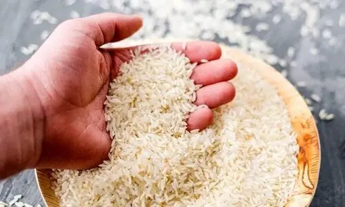 قیمت برنج ایرانی شوکه کننده شد | رکورد زنی قیمت برنج هاشمی 