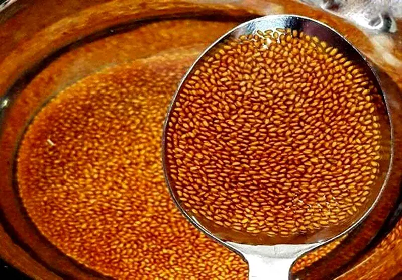 بهترین ترکیبات گیاهی برای پاک‌سازی بدن | رژیم سوپ گشنیز را امتحان کنید