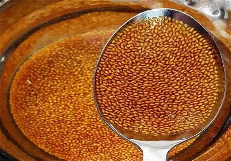 بهترین ترکیبات گیاهی برای پاک‌سازی بدن | رژیم سوپ گشنیز را امتحان کنید