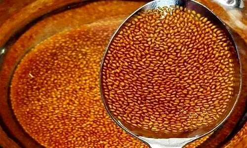 بهترین ترکیبات گیاهی برای پاک‌سازی بدن | رژیم سوپ گشنیز را امتحان کنید