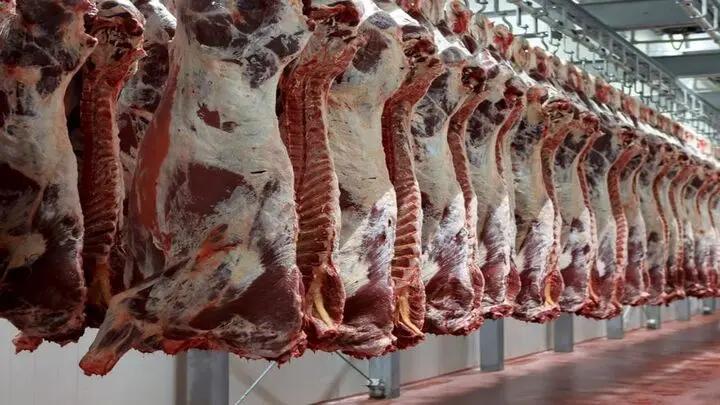 قیمت گوشت نصف شد | کاهش شدید قیمت گوشت در بازار امروز