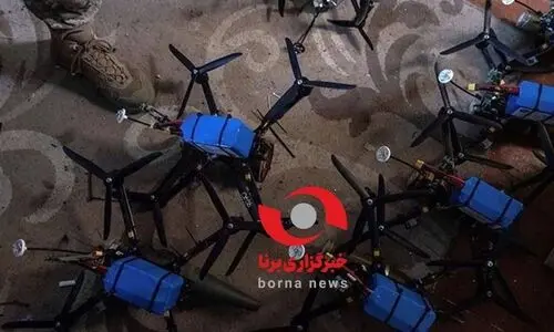 تصویری از ریز پرنده های آماده که در هرمزگان کشف شد