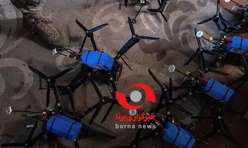 تصویری از ریز پرنده های آماده که در هرمزگان کشف شد