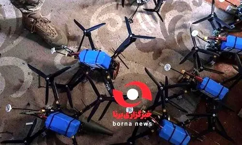 تصویری از ریز پرنده های آماده که در هرمزگان کشف شد