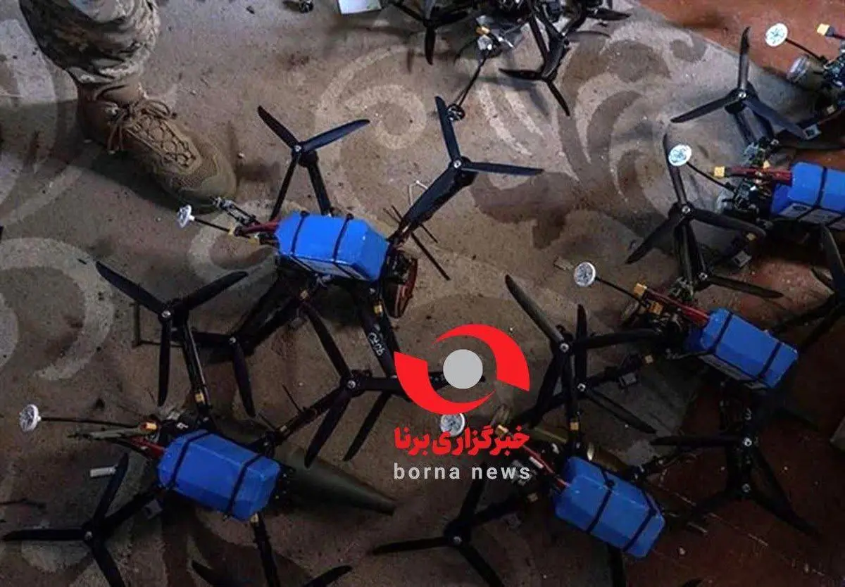 تصویری از ریز پرنده های آماده که در هرمزگان کشف شد
