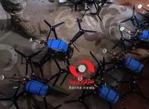 تصویری از ریز پرنده های آماده که در هرمزگان کشف شد
