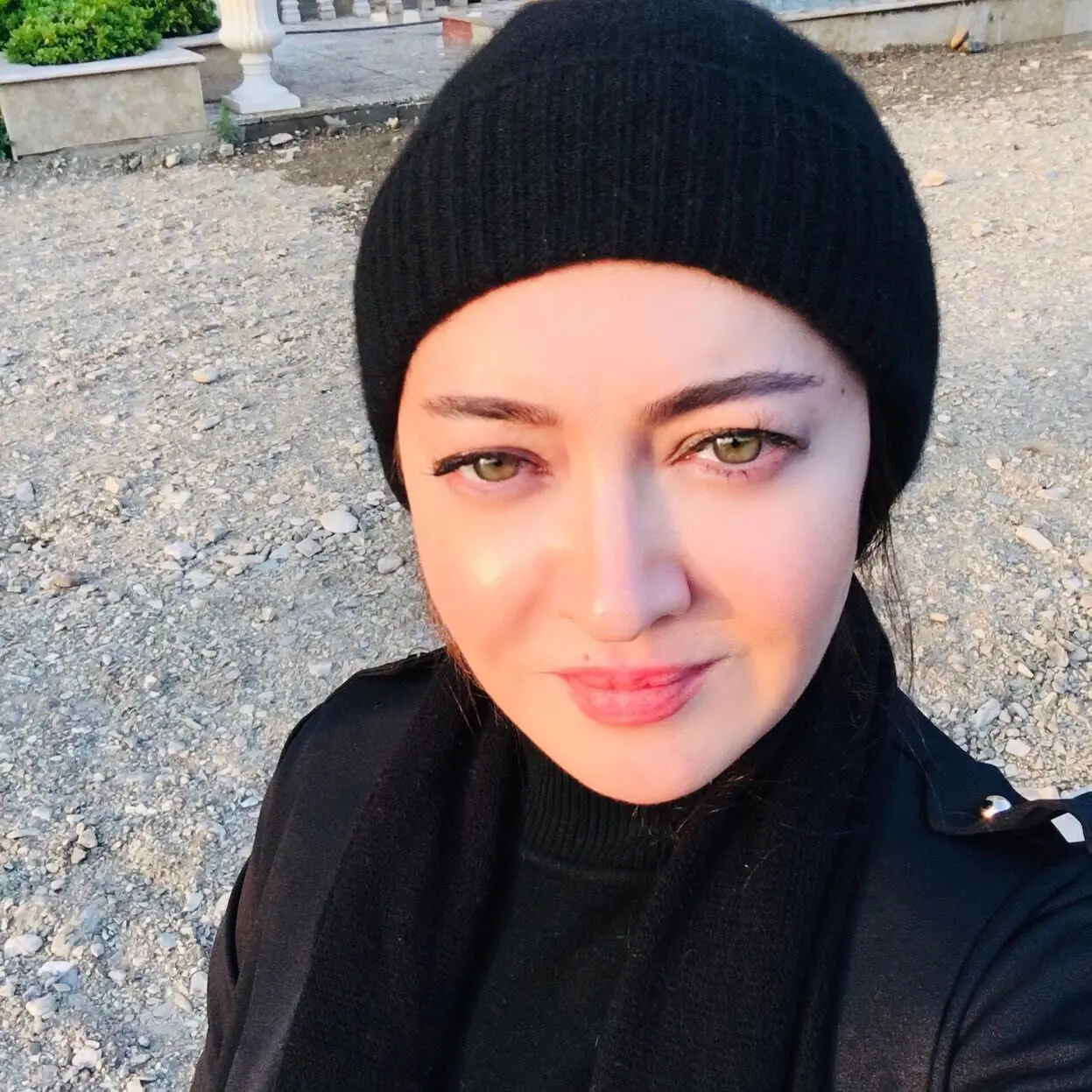 بیوگرافی نیکی کریمی+عکس
