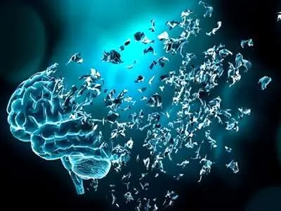 اگه می خوای هیچوقت آلزایمر نگیری این خوراکی هارو بخور 