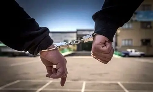 سرقت ۵ کیسه برنج ایرانی در یک لحظه در فروشگاهی در مشهد | سرقت‌های عجیب ۲ دزد چاق  + عکس